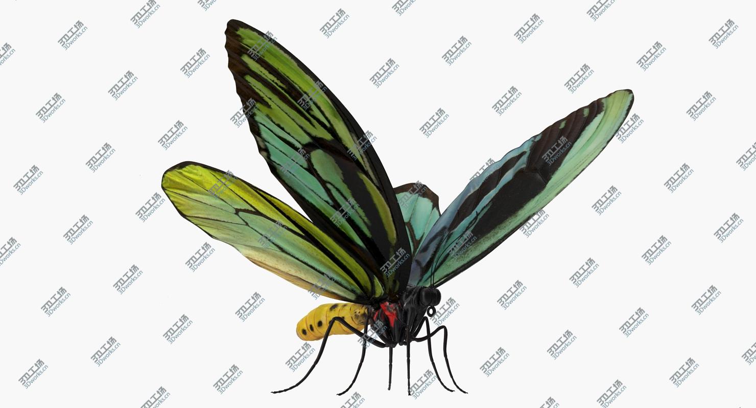 images/goods_img/20210319/Insects Big 3D Models Collection 3D model/4.jpg